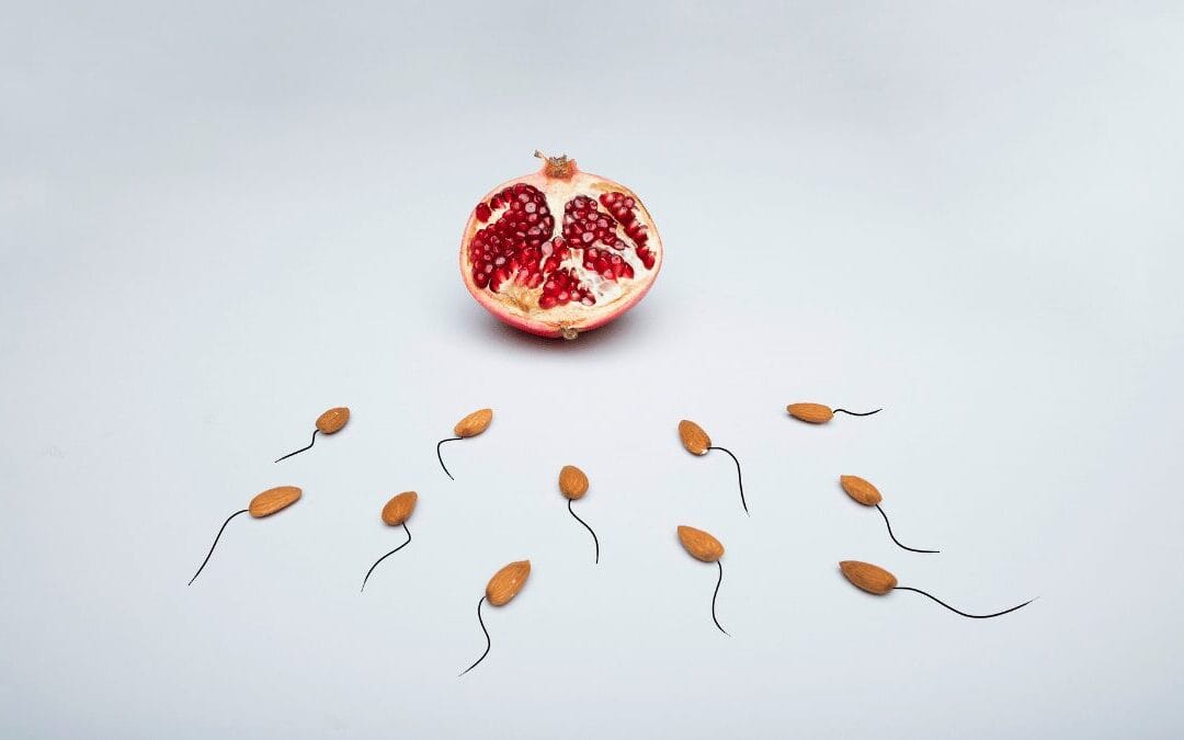 Signs That You Need to Improve Your Sperm or Egg Quality