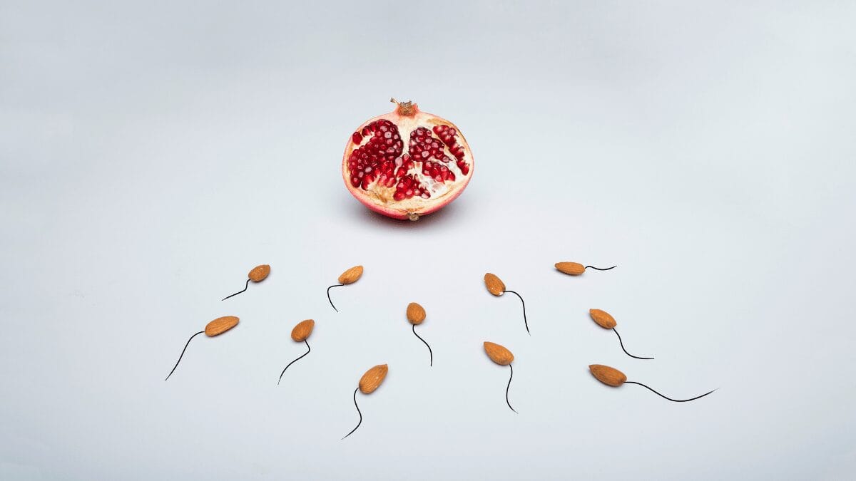 Signs That You Need to Improve Your Sperm or Egg Quality