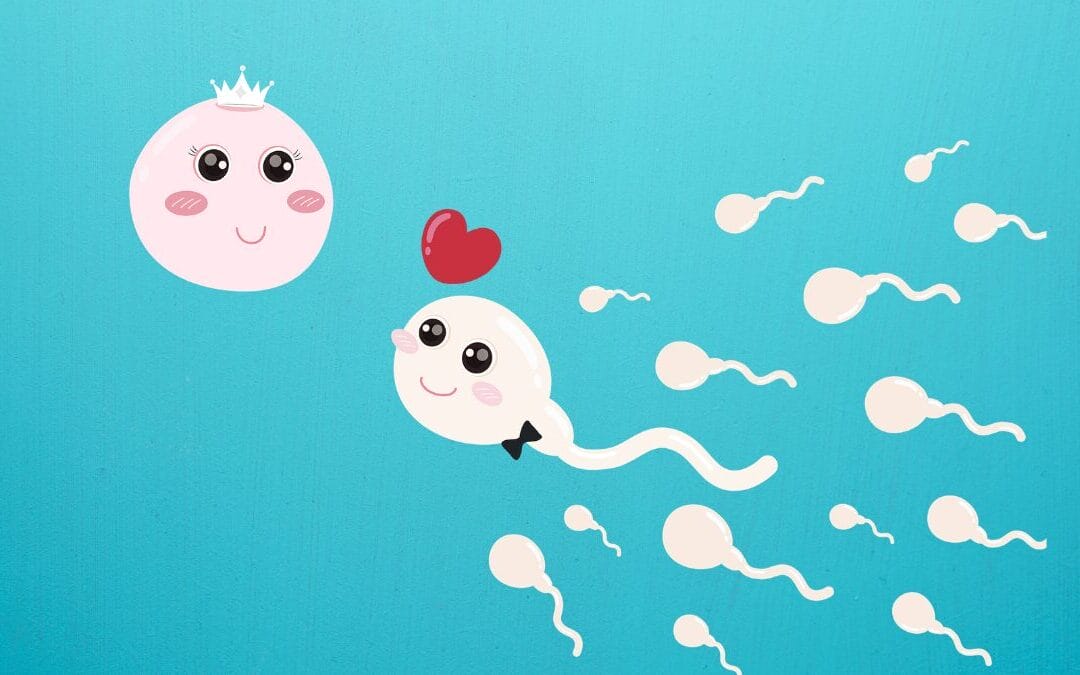 The Ultimate Newlywed Guide to Conception Planning