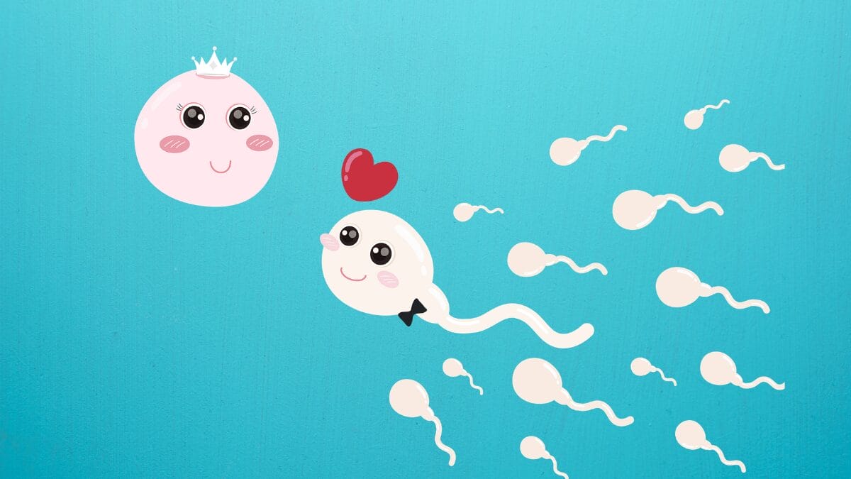 The Ultimate Newlywed Guide to Conception Planning