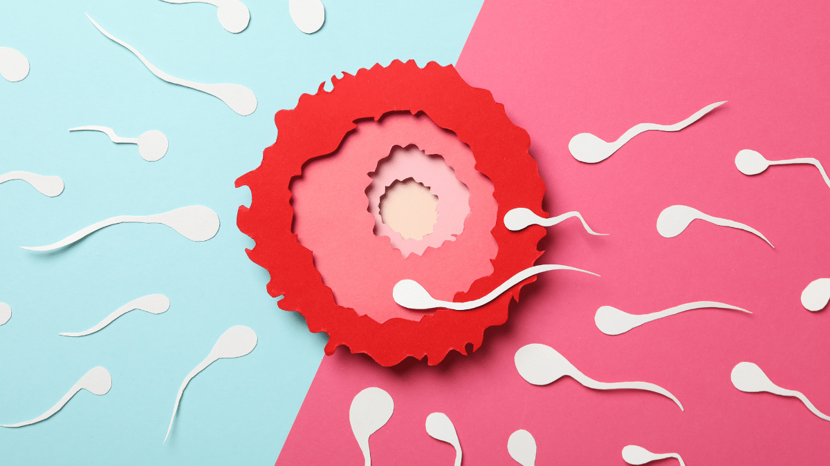 Can a Mediterranean Diet Improve Your Fertility?