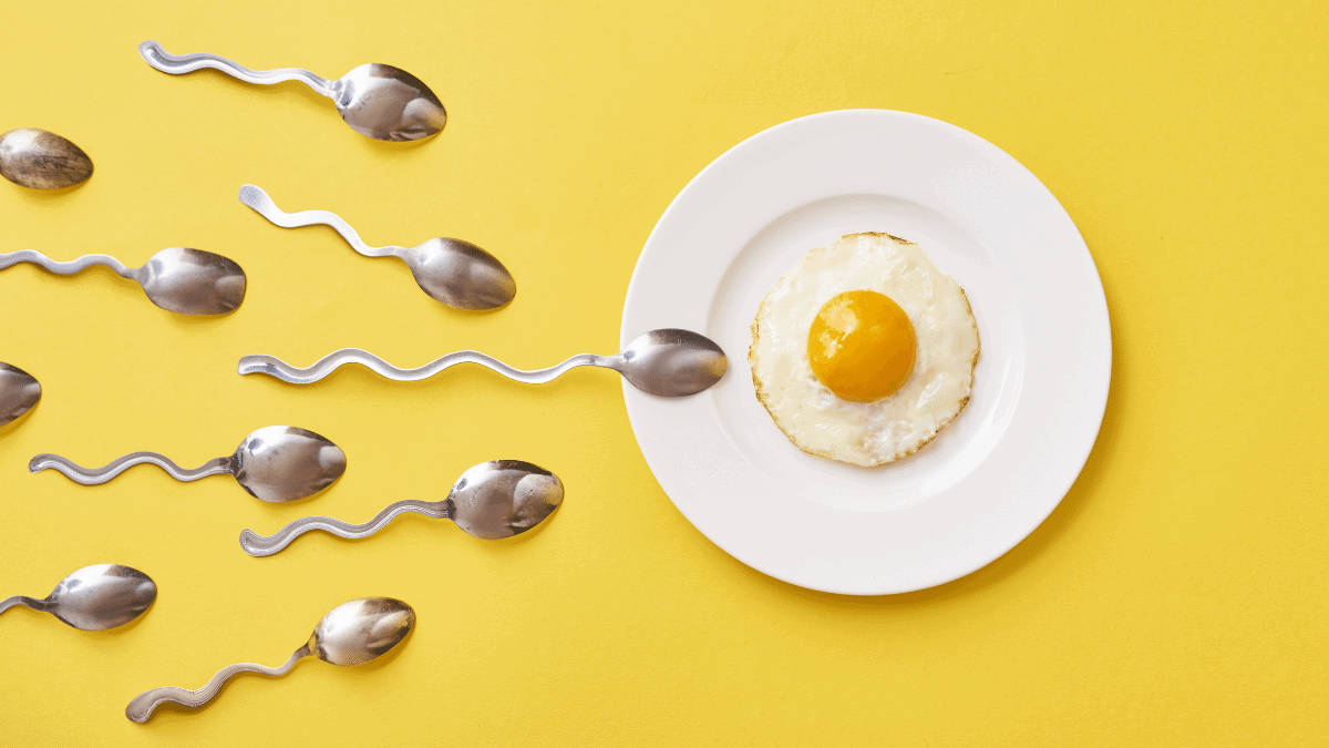 Can Too Much Processed, Fast Food Affect Fertility?