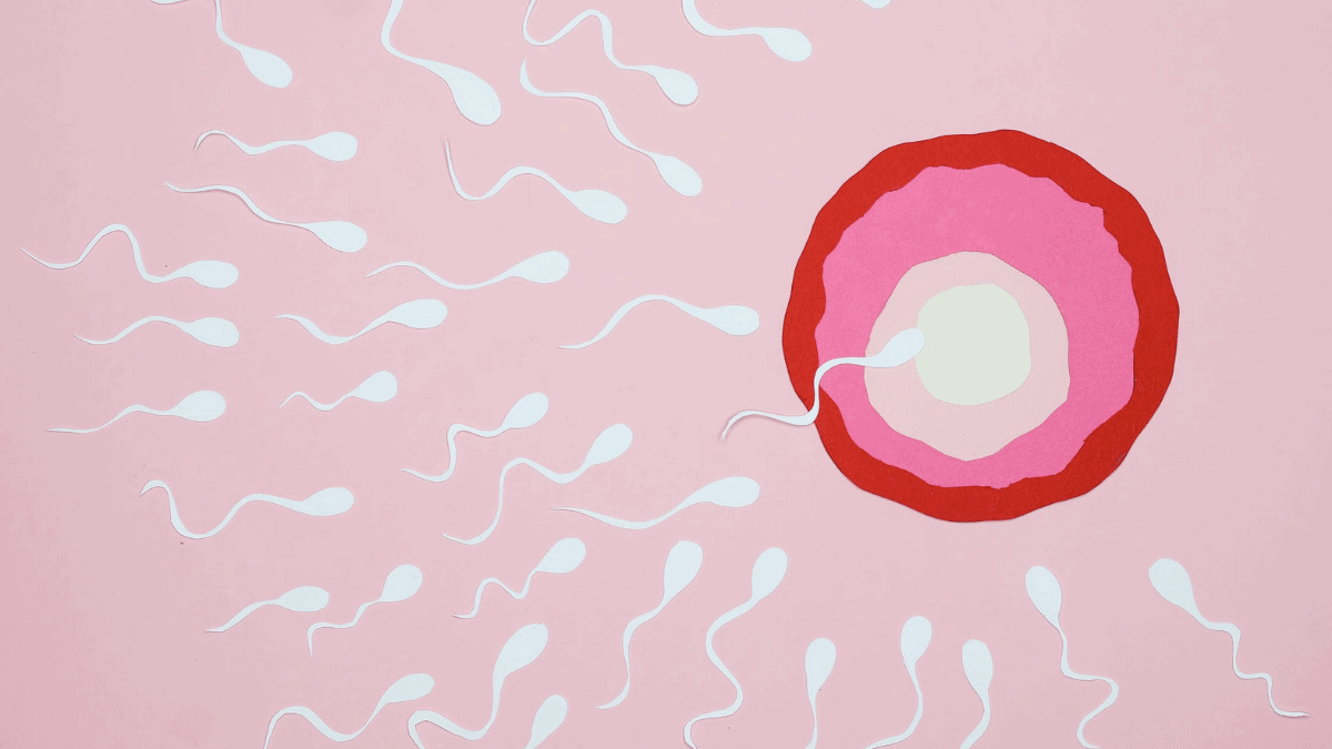 Can Genetic Testing Improve Your Fertility Plan?