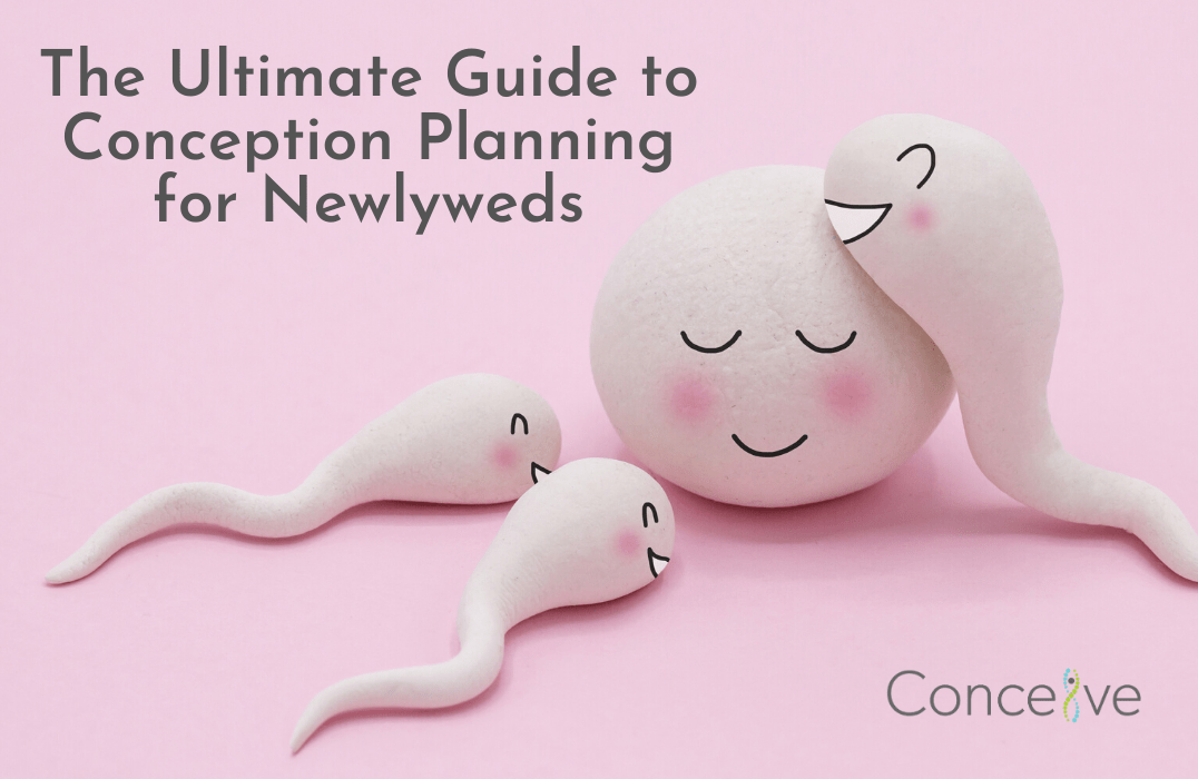 The Ultimate Guide to Conception Planning for Newlyweds