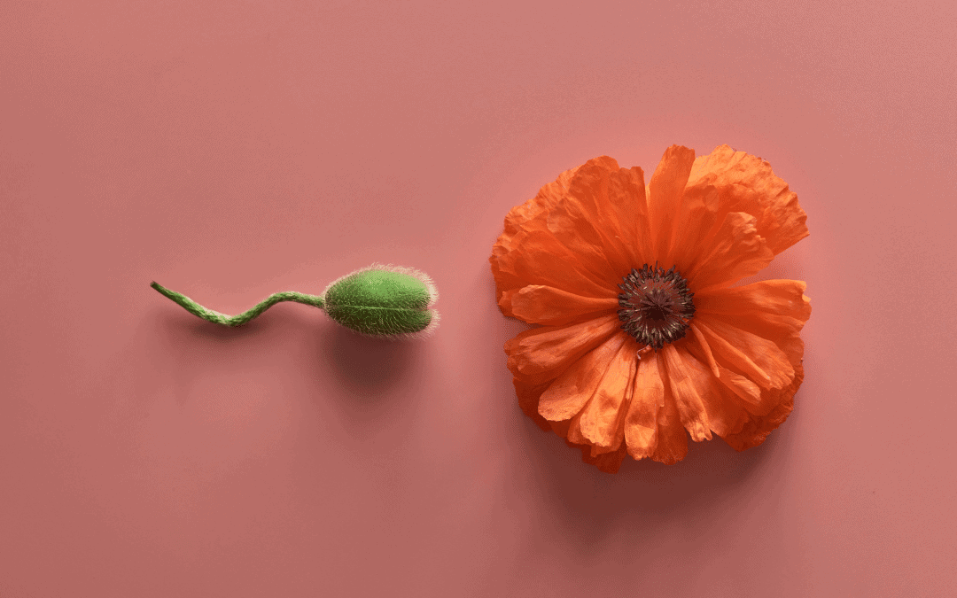 How to Know if You Have Endometriosis