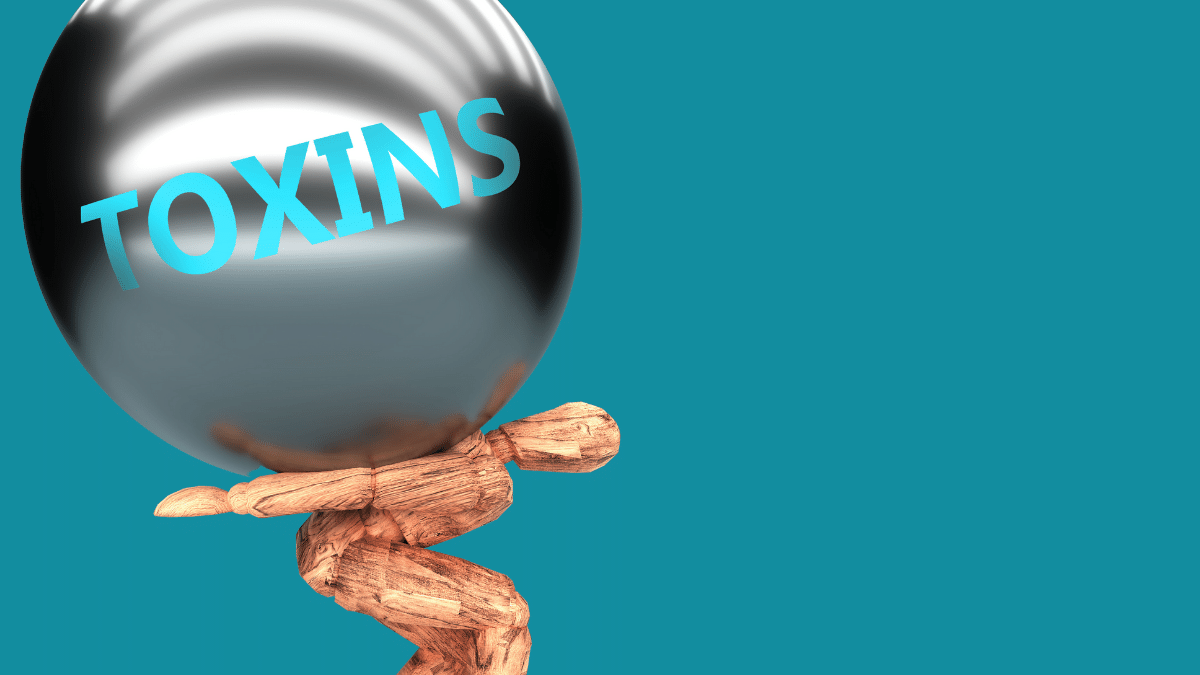 Is There a Link Between Toxins and Miscarriages?