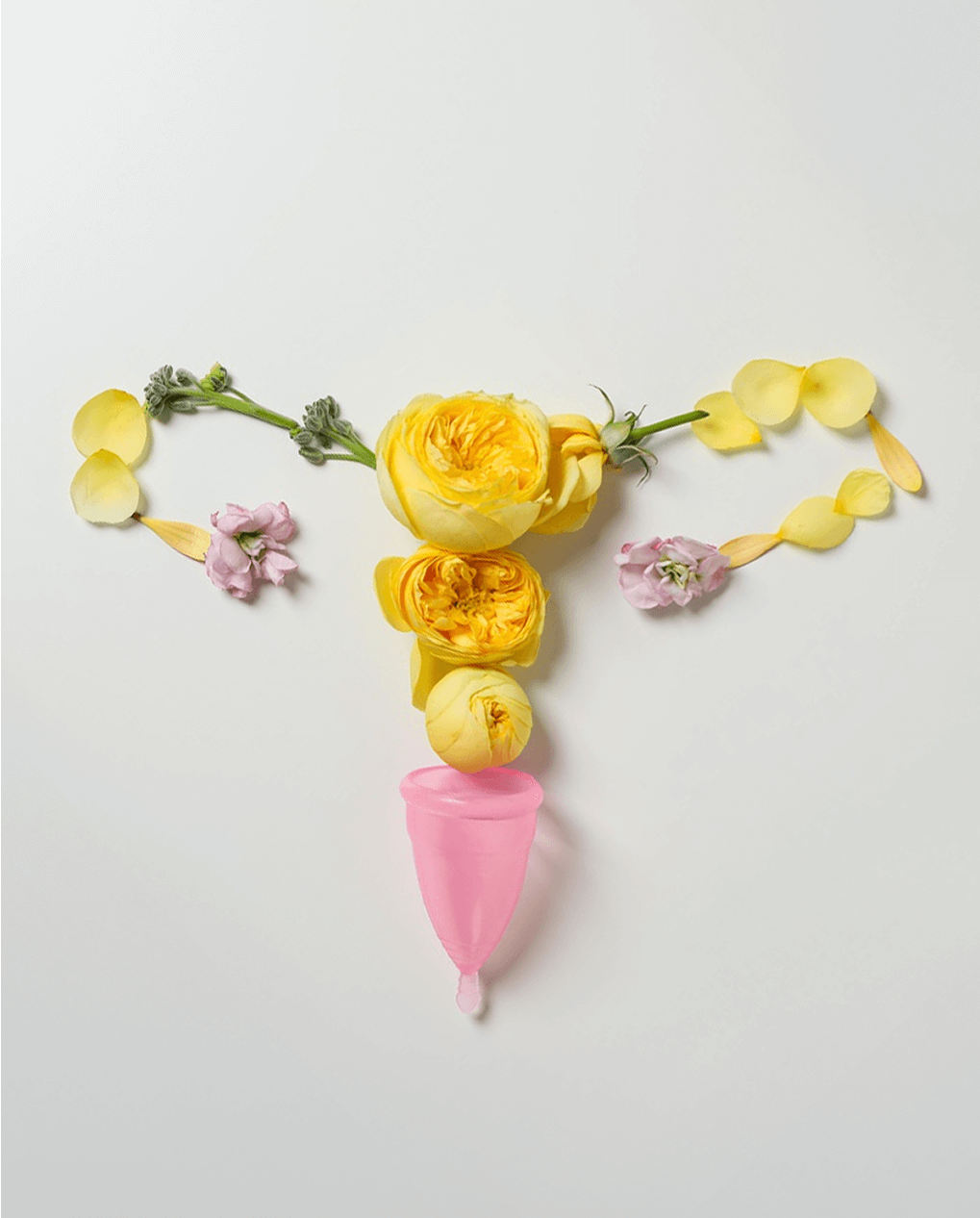 Treatment for Menstrual & Ovulation Challenges