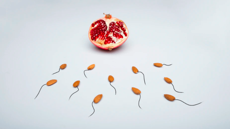 Why Ovulation is Important for Healthy Hormones