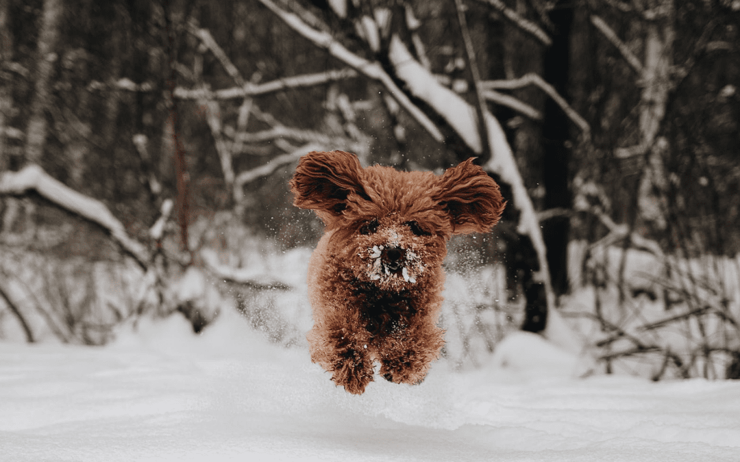 Why Staying Active in Winter Helps Your Fertility