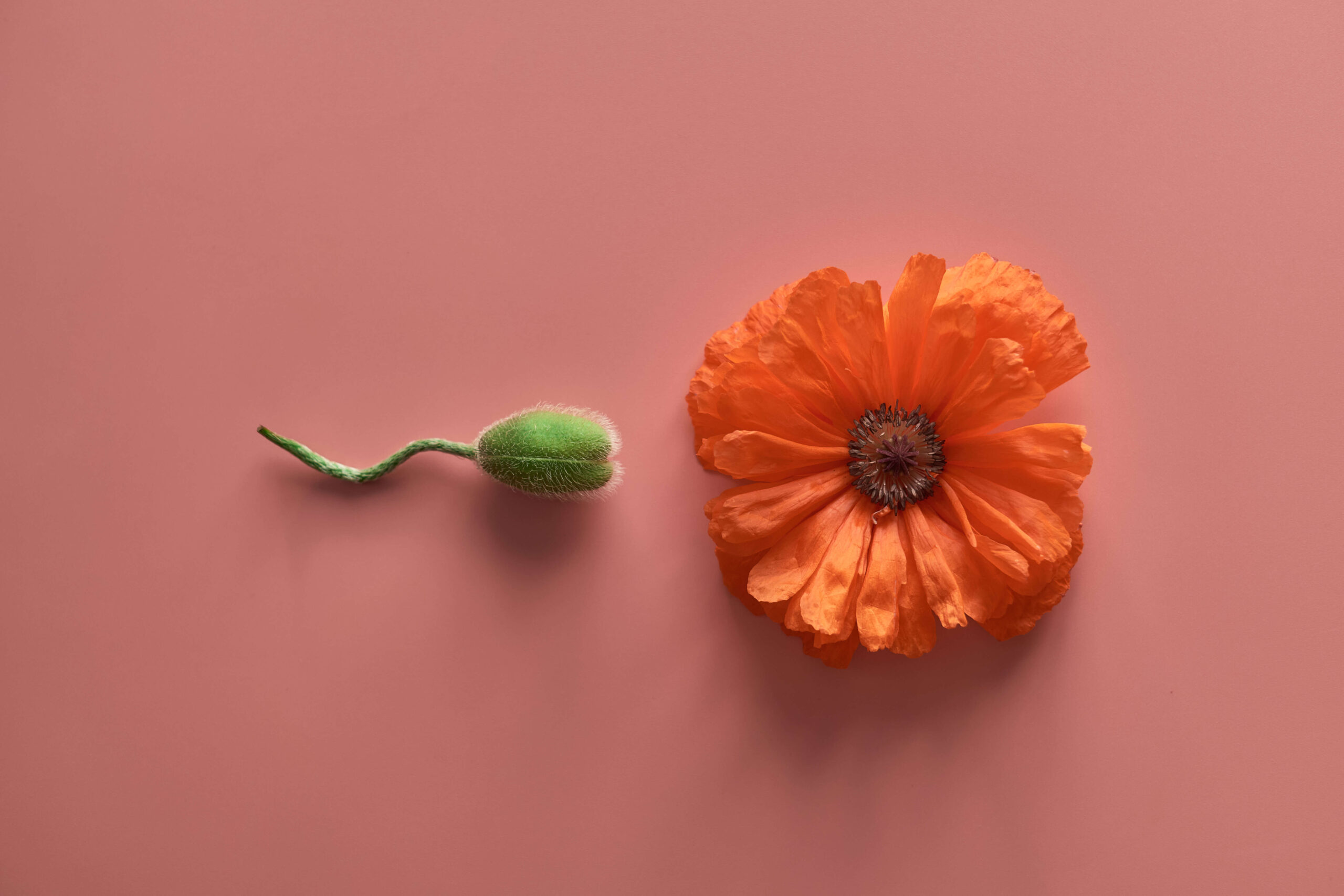 Reduce Your Miscarriage Risks