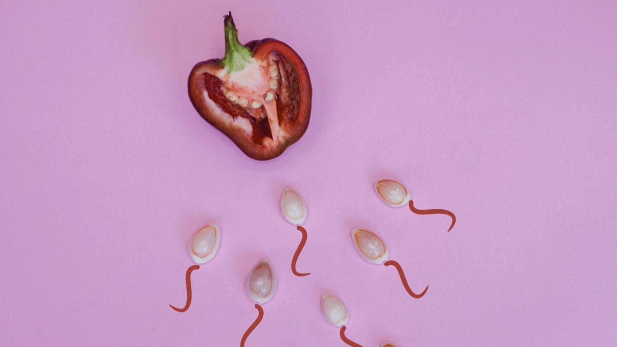 What is sperm DNA fragmentation?